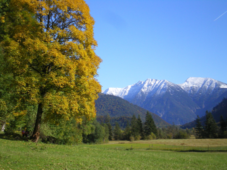 Weidmoos im Naturpark Ammergauer Alpen bei Kloster Ettal, fotografiert von Preishammer Weidmoos im Naturpark Ammergauer Alpen bei Kloster Ettal, fotografiert von Preishammer